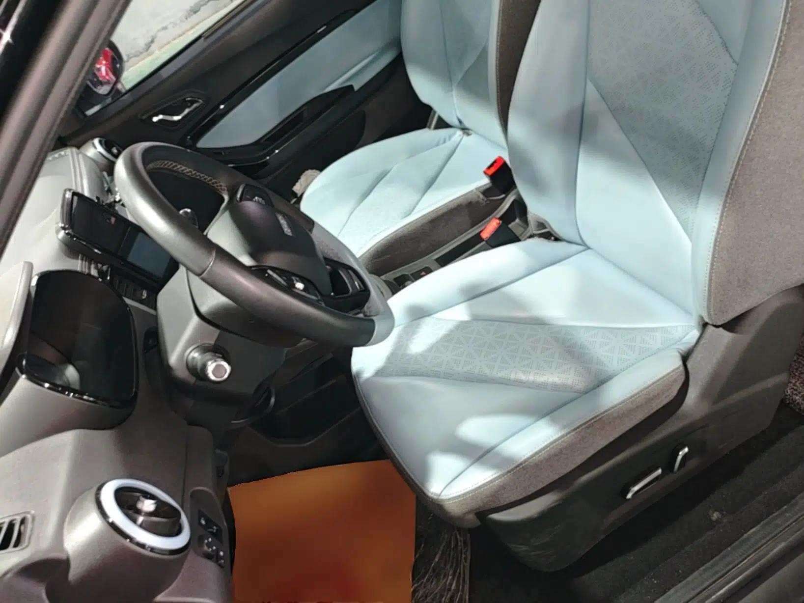 Chery QQ Little Ant 2022 Sweet Pink Edition Full-Sugar Version Lithium Iron Phosphate 30 kW 301 km — миниатюра 18
