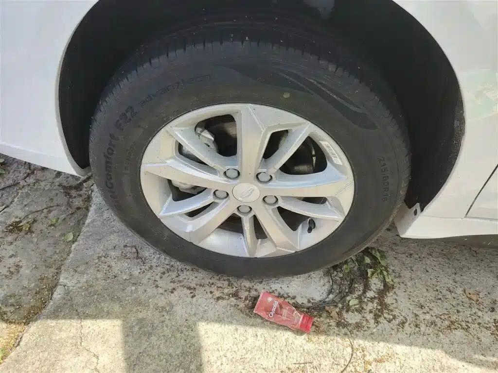 Geely Emgrand EV Pro 2022 Online Edition (Lithium Iron Phosphate) — миниатюра 23