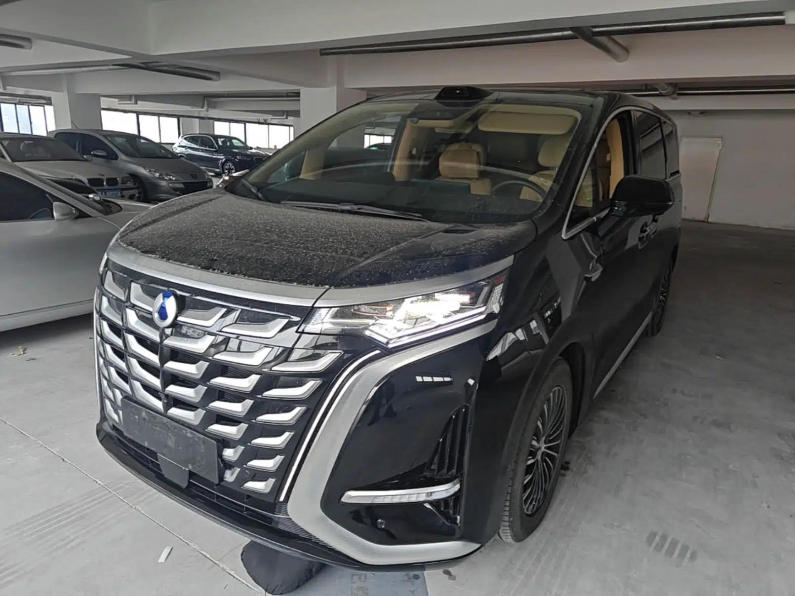 Denza D9 2025 DM-i Intelligent Drive 1020 Four-Wheel Drive Prestige Model — миниатюра 1