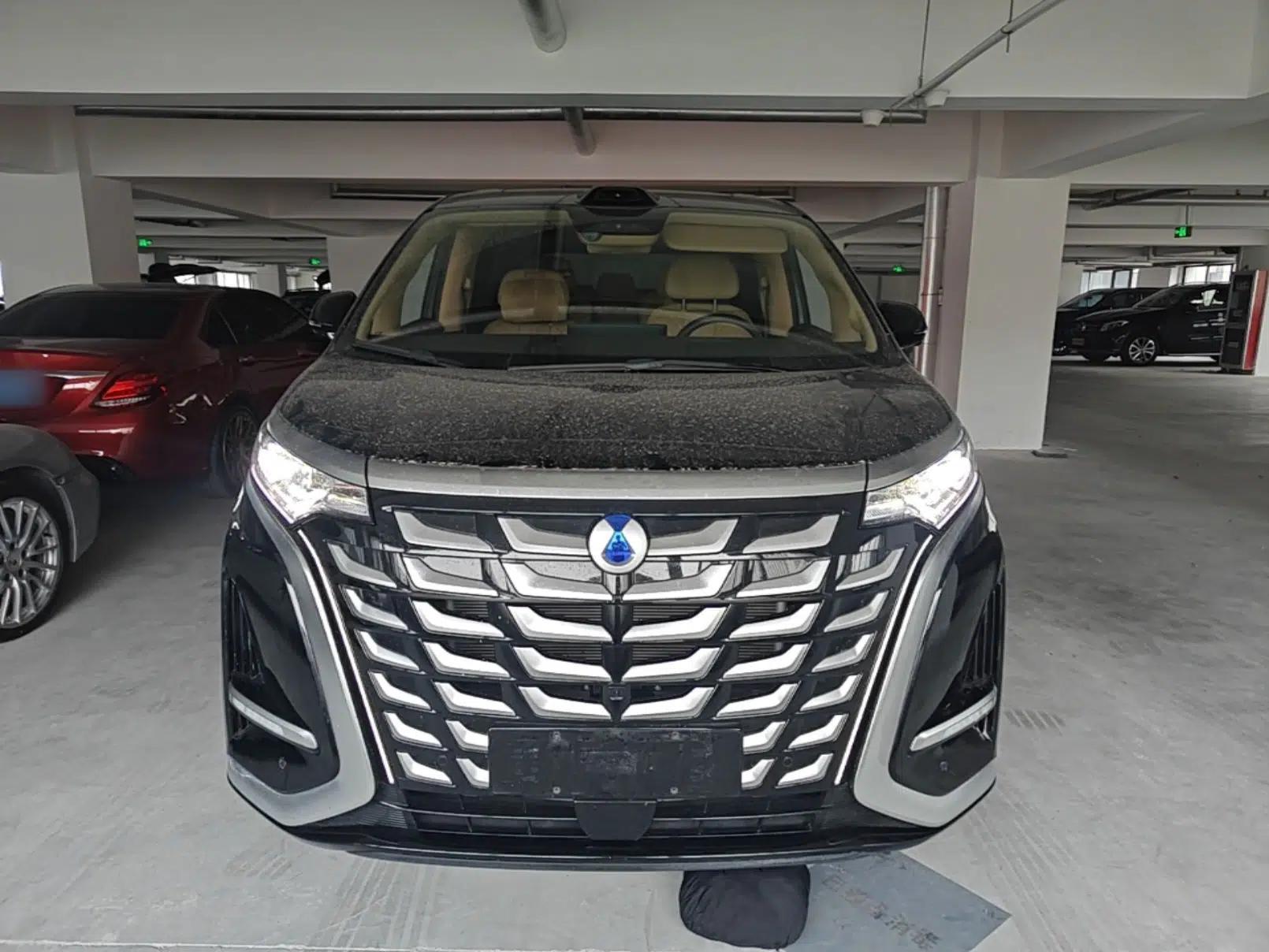 Denza D9 2025 DM-i Intelligent Drive 1020 Four-Wheel Drive Prestige Model — миниатюра 2