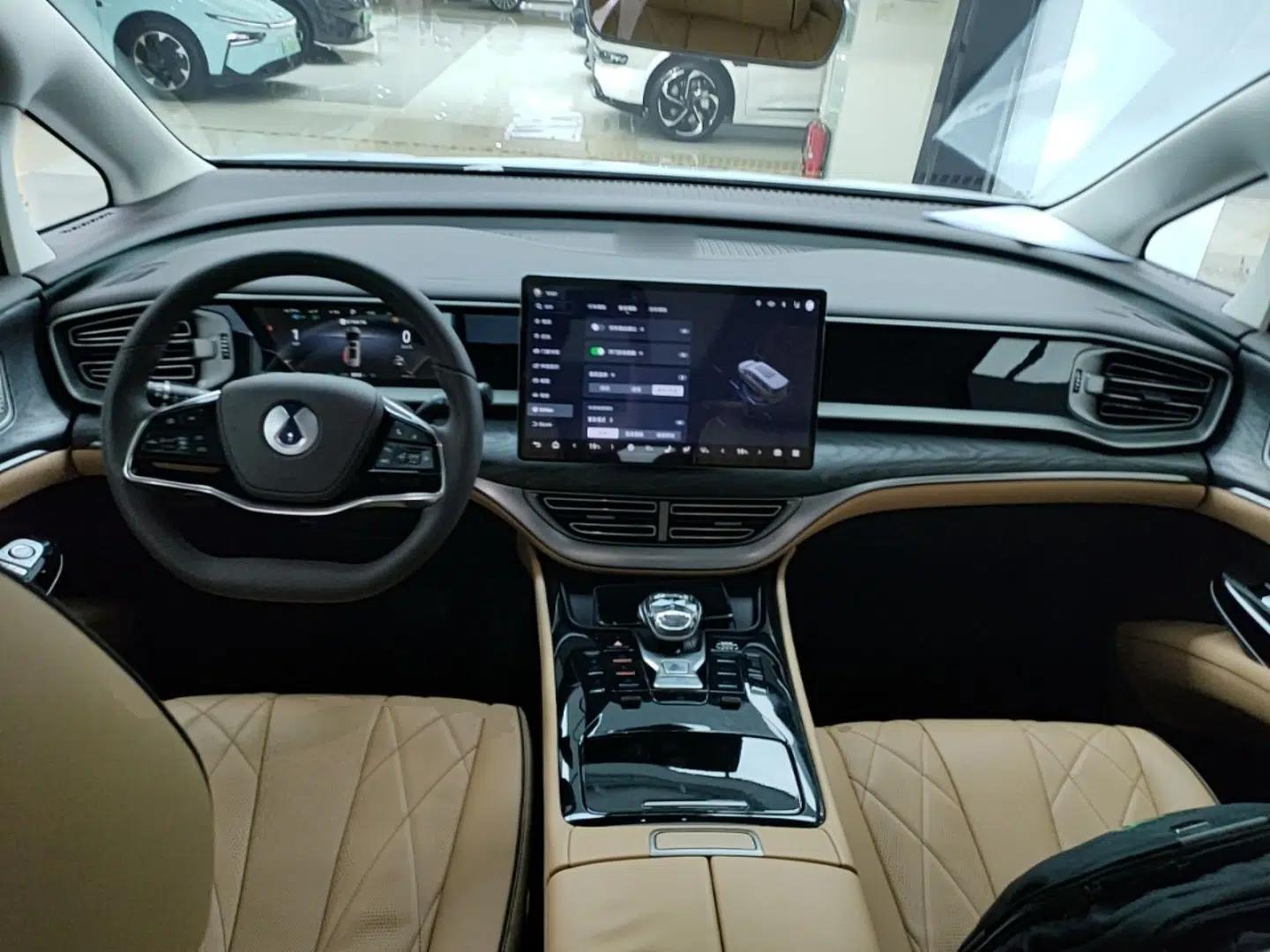 Denza D9 2024 DM-i 1050 Luxury Model — миниатюра 13