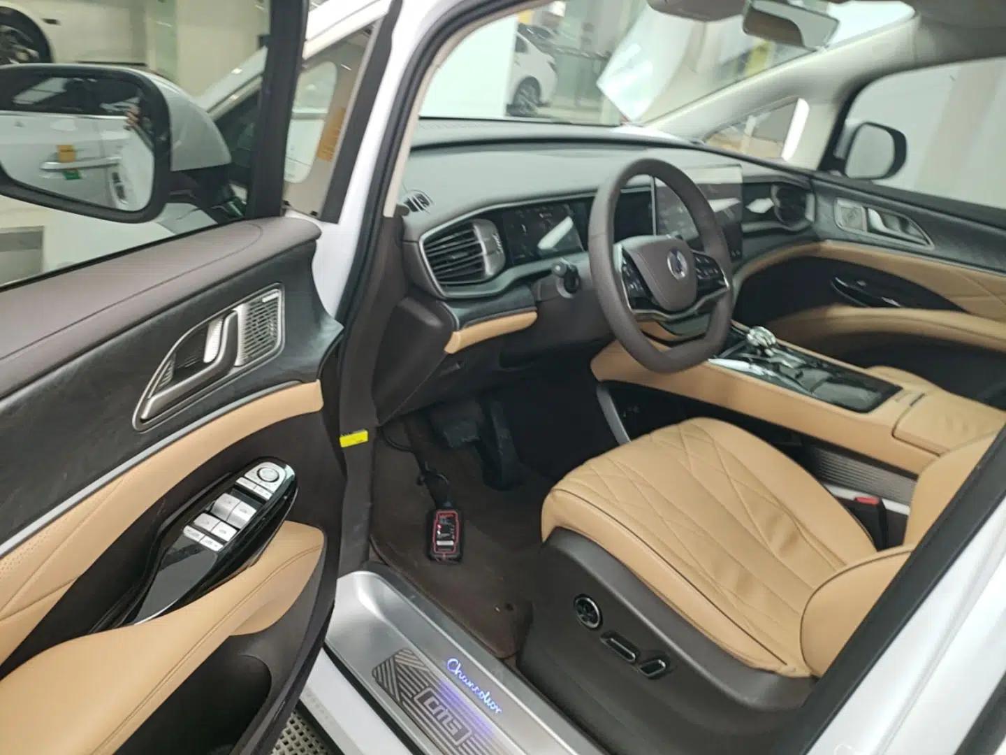 Denza D9 2024 DM-i 1050 Luxury Model — миниатюра 19
