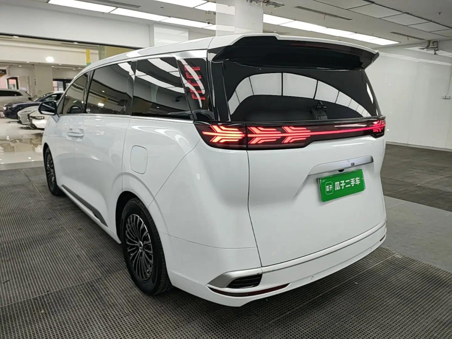 Denza D9 2024 DM-i 1050 Luxury Model — миниатюра 4
