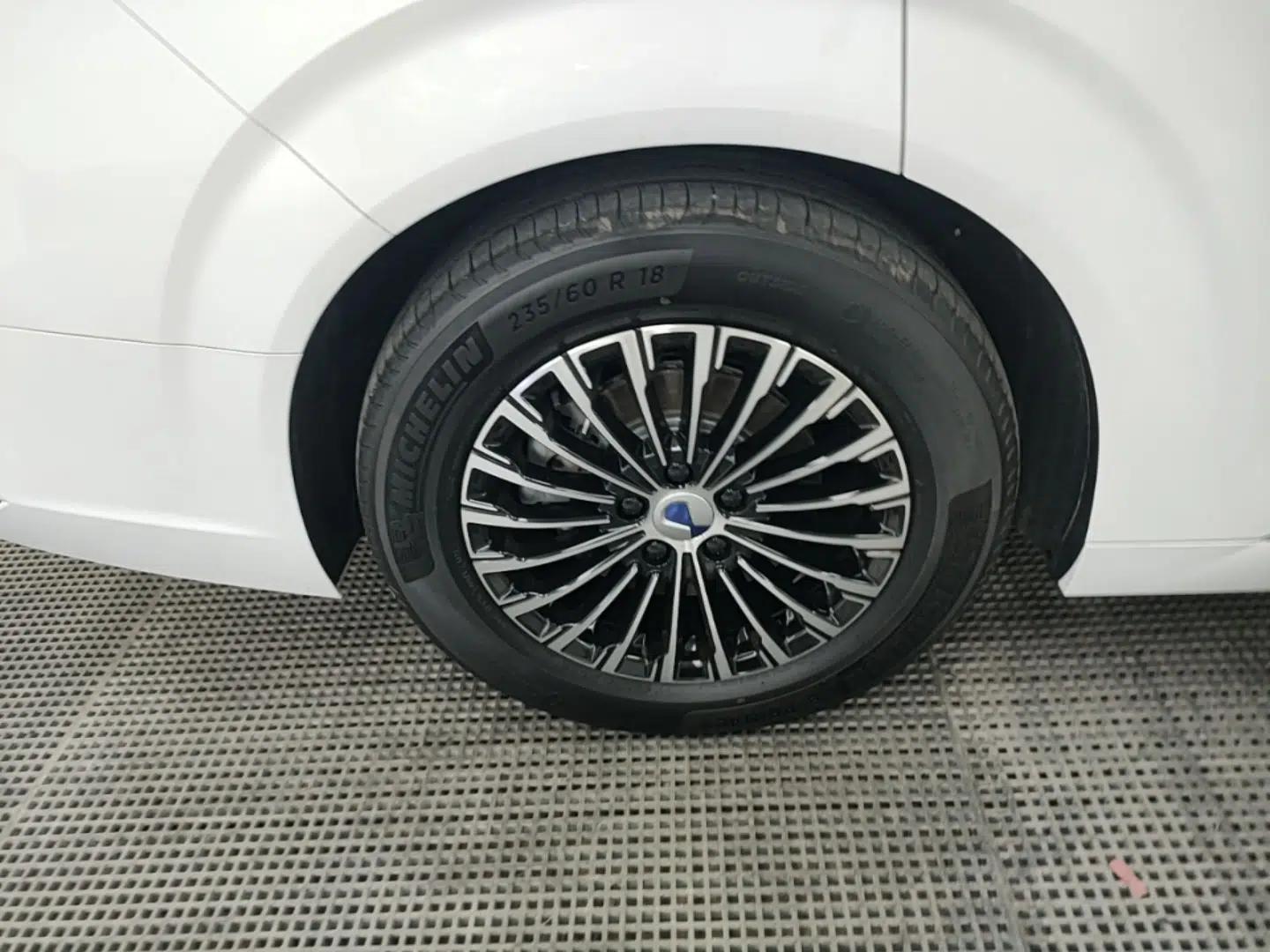 Denza D9 2024 DM-i 1050 Luxury Model — миниатюра 10