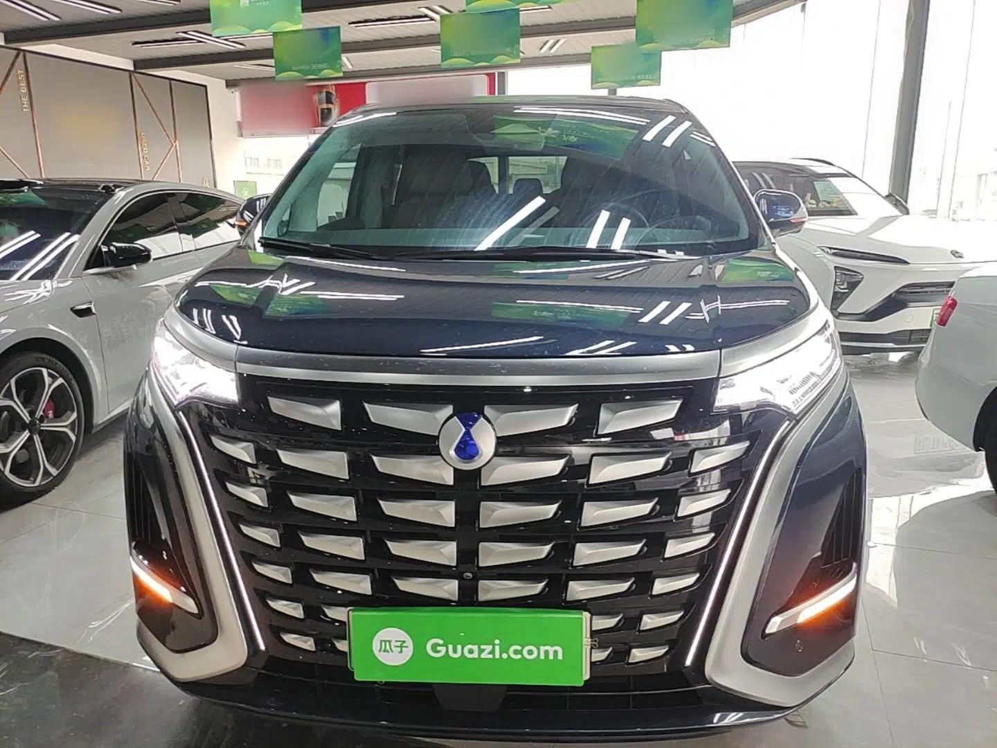 Denza D9 2024 DM-i 980 Four-Wheel Drive Flagship Model — миниатюра 2