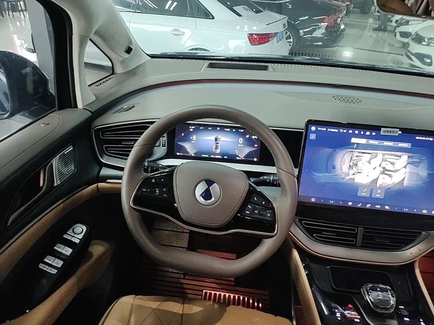 Denza D9 2024 DM-i 980 Four-Wheel Drive Flagship Model — миниатюра 14
