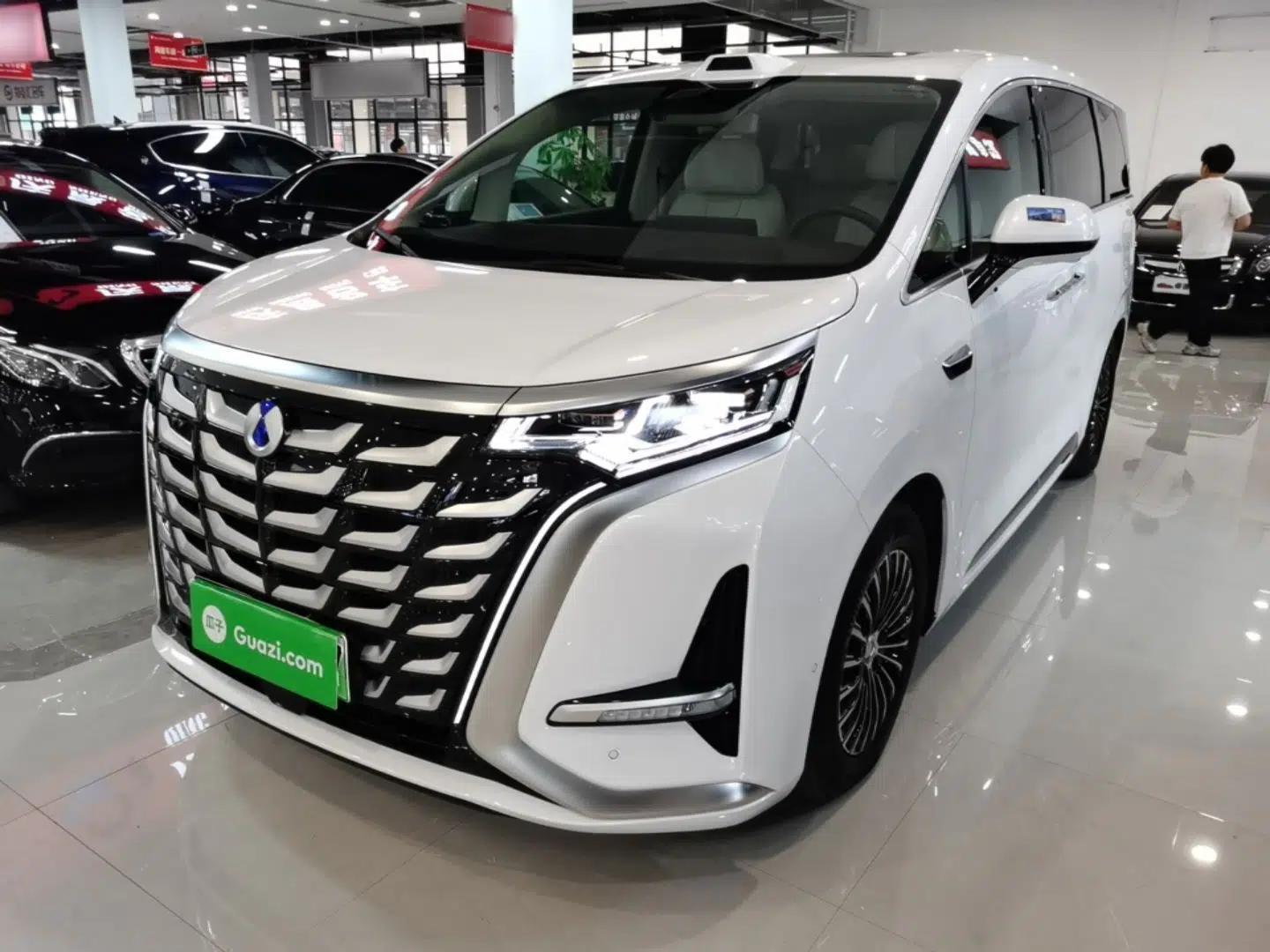 Denza D9 2025 DM-i Intelligent Drive 1020 Four-Wheel Drive Flagship Model — миниатюра 1
