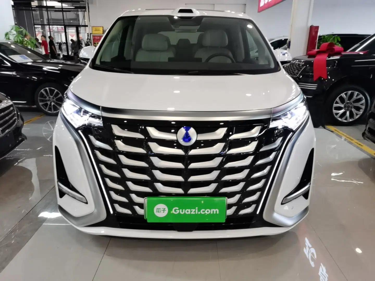 Denza D9 2025 DM-i Intelligent Drive 1020 Four-Wheel Drive Flagship Model — миниатюра 2