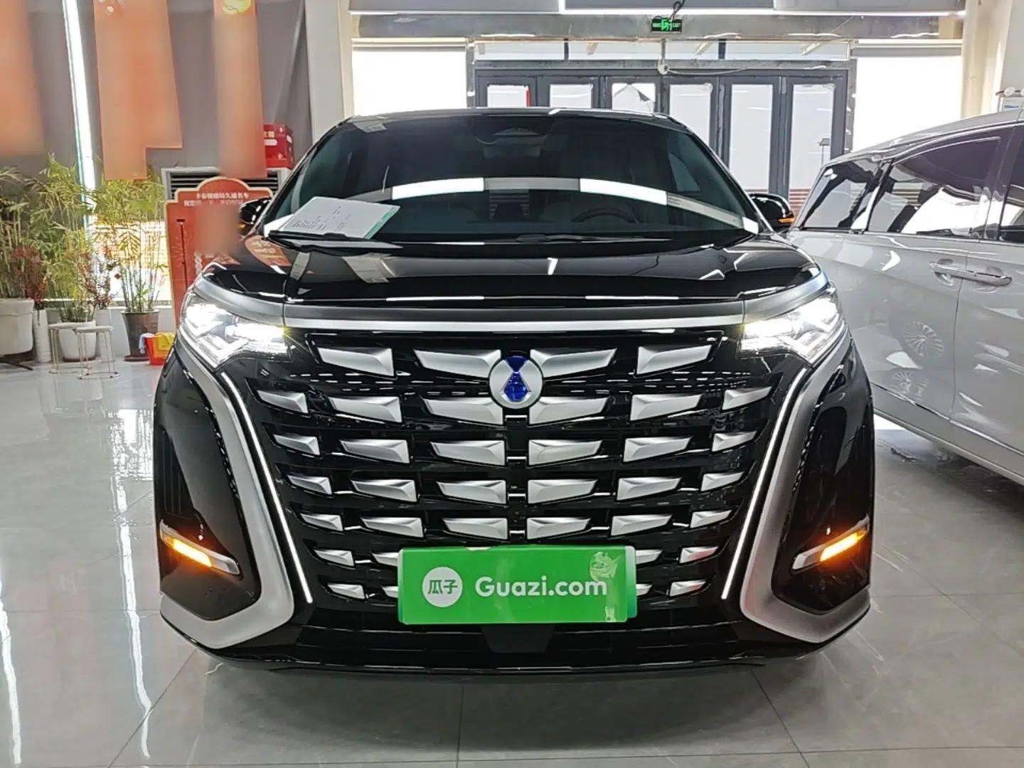 Denza D9 2024 DM-i 980 Four-Wheel Drive Prestige Model — миниатюра 2