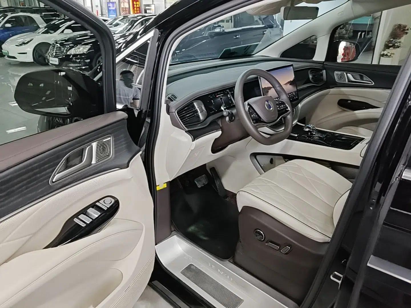 Denza D9 2024 DM-i 980 Four-Wheel Drive Prestige Model — миниатюра 19