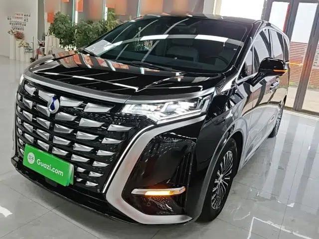 Denza D9 2024 DM-i 980 Four-Wheel Drive Prestige Model
