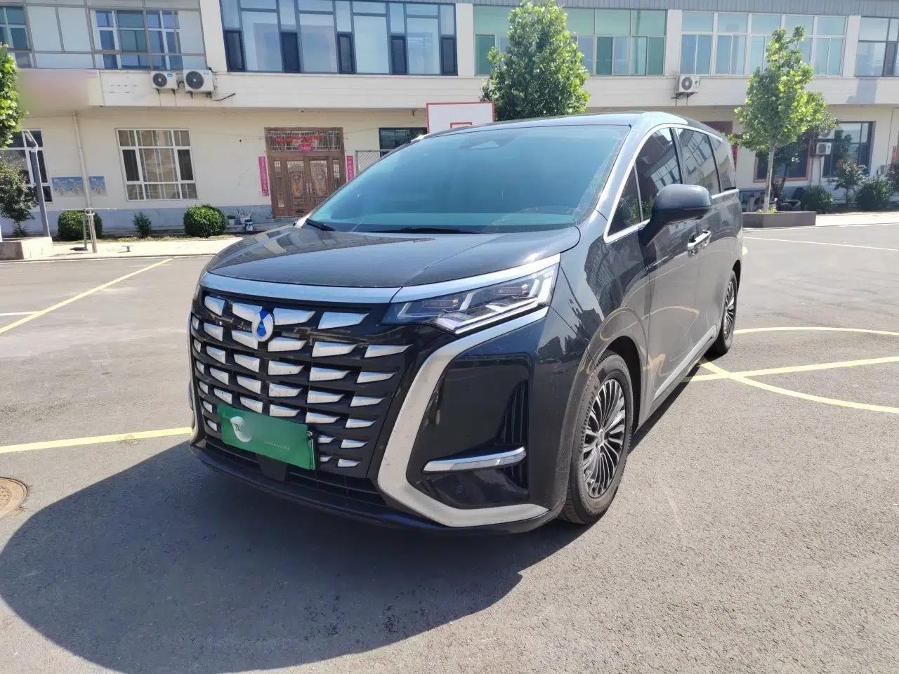 Denza D9 2024 DM-i 1050 Luxury Model — миниатюра 1