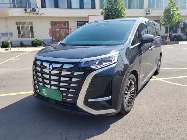 Denza D9 2024 DM-i 1050 Luxury Model