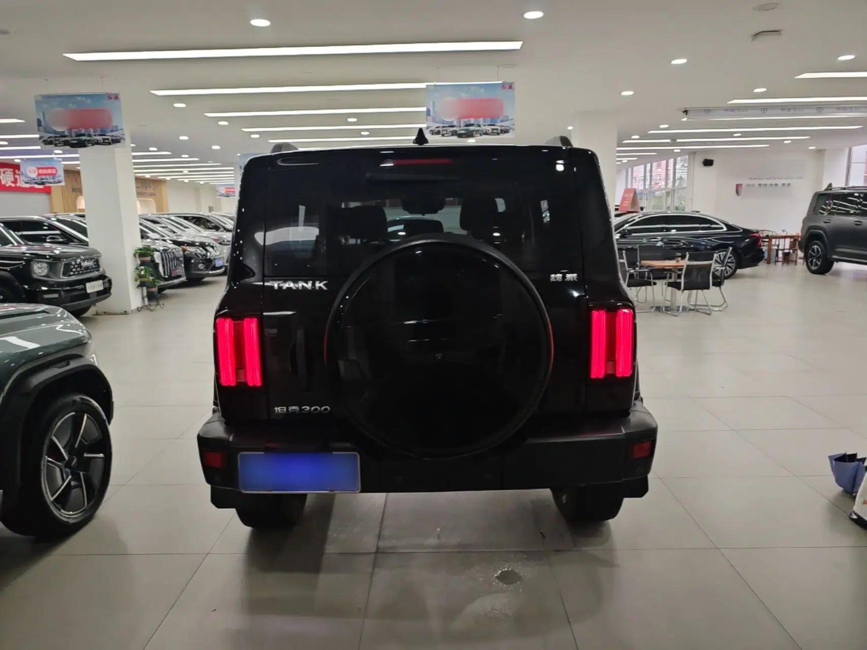 Tank 300 2021 Off-Road Edition 2.0T Challenger — миниатюра 5