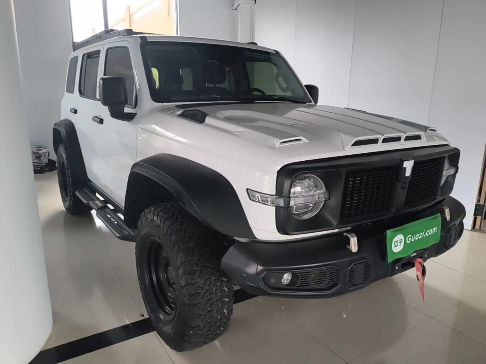 Tank 300 2021 2.0T Wind & Forest Iron Rider — миниатюра 3