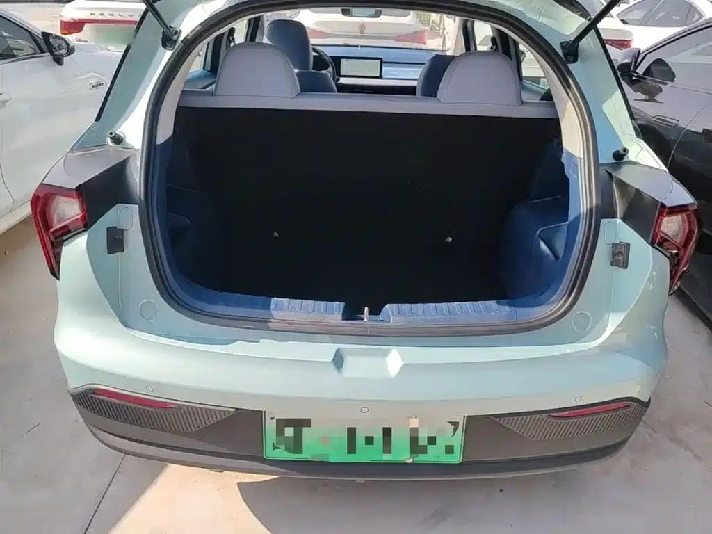 Geely Geometry E Firefly 2022 Model 401KM Linglong Tiger 4-Seater — миниатюра 19
