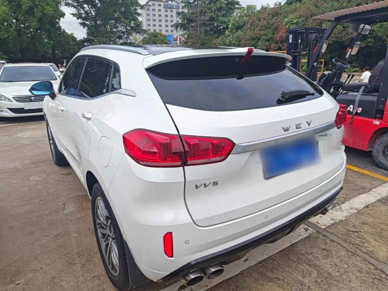 Wey VV5 2019 Upgraded Model 2.0T Two-Wheel Drive Ultra-Luxury Version China V Standard — миниатюра 4