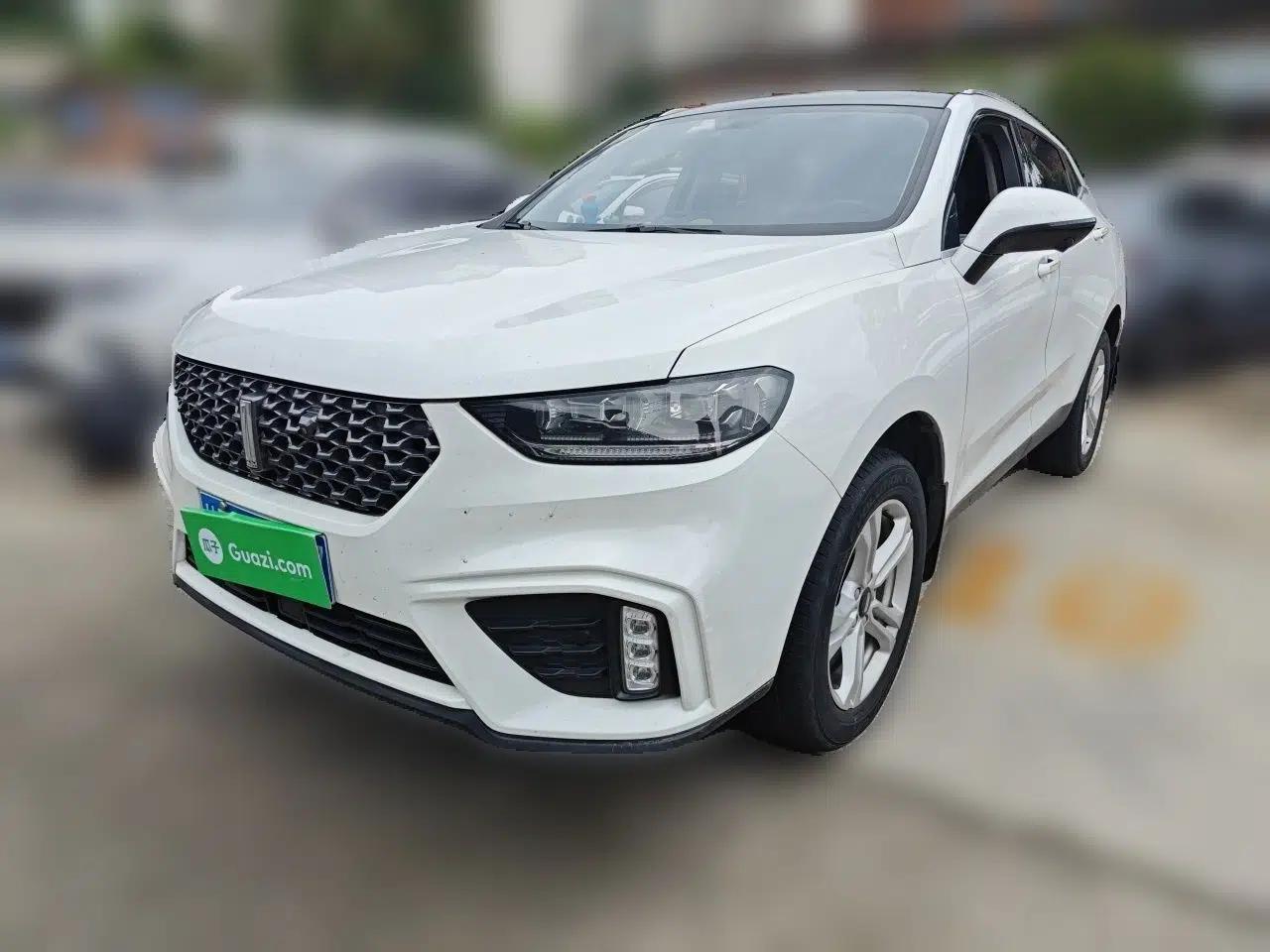 Wey VV5 2020 1.5T Two-Wheel Drive Color Pioneer — миниатюра 1