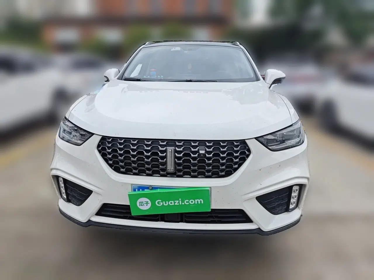 Wey VV5 2020 1.5T Two-Wheel Drive Color Pioneer — миниатюра 2