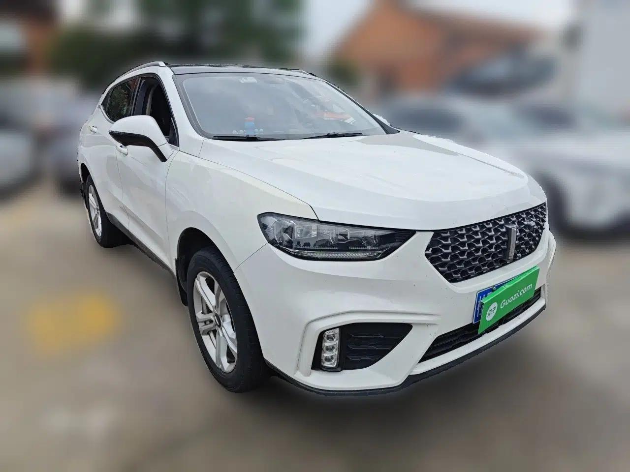 Wey VV5 2020 1.5T Two-Wheel Drive Color Pioneer — миниатюра 3