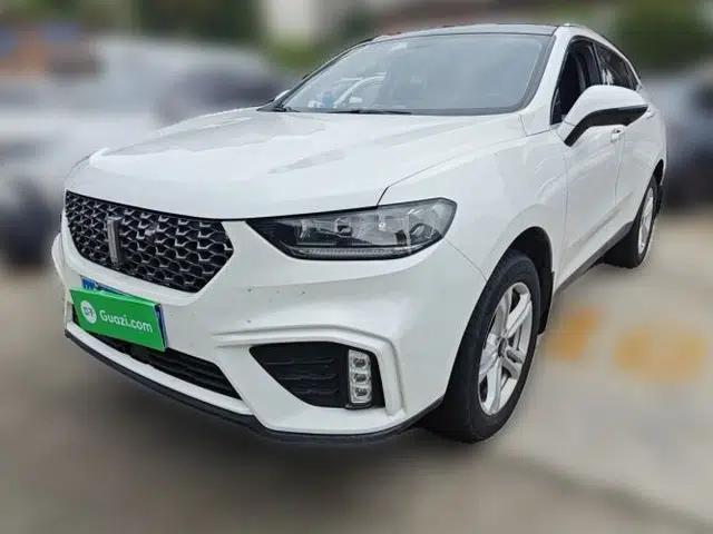 Wey VV5 2020 1.5T Two-Wheel Drive Color Pioneer