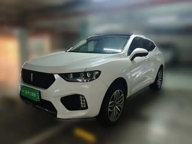 Wey VV5 2019 Upgraded Model 2.0T Two-Wheel Drive Ultra-Luxury Version China VI Standard