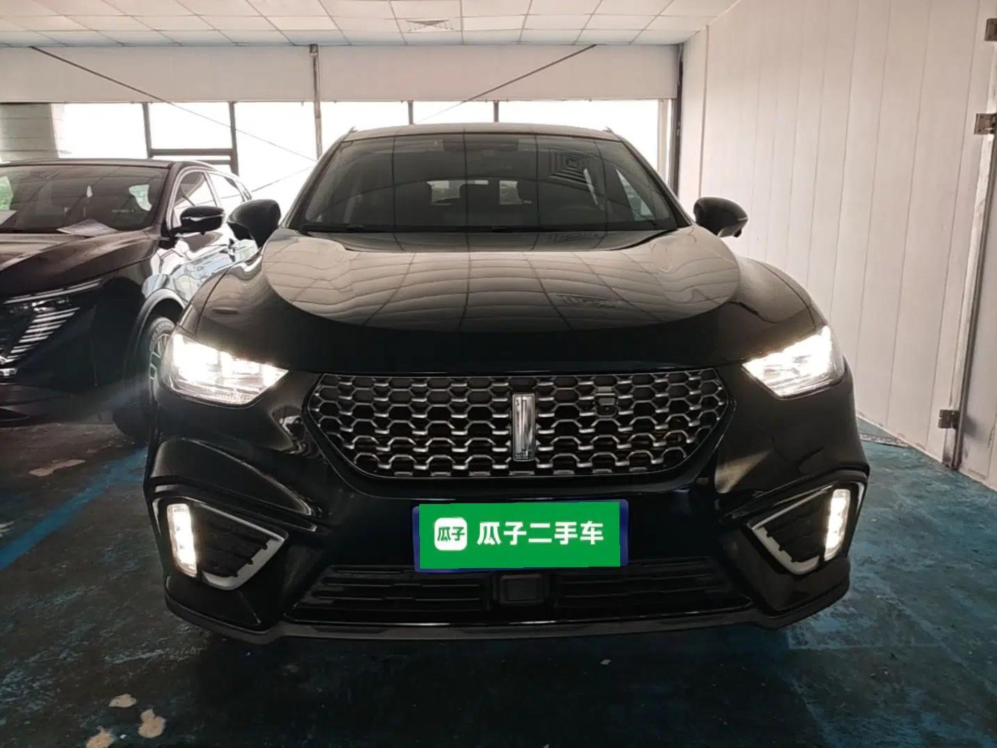 Wey VV5 2021 1.5T Two-Wheel Drive Smart Pioneer — миниатюра 2