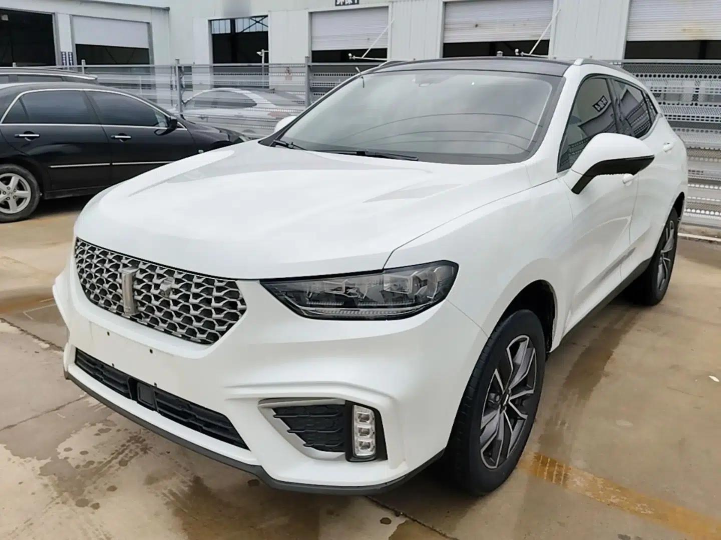 Wey VV5 2021 1.5T Two-Wheel Drive Color Pioneer — миниатюра 1