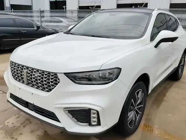 Wey VV5 2021 1.5T Two-Wheel Drive Color Pioneer