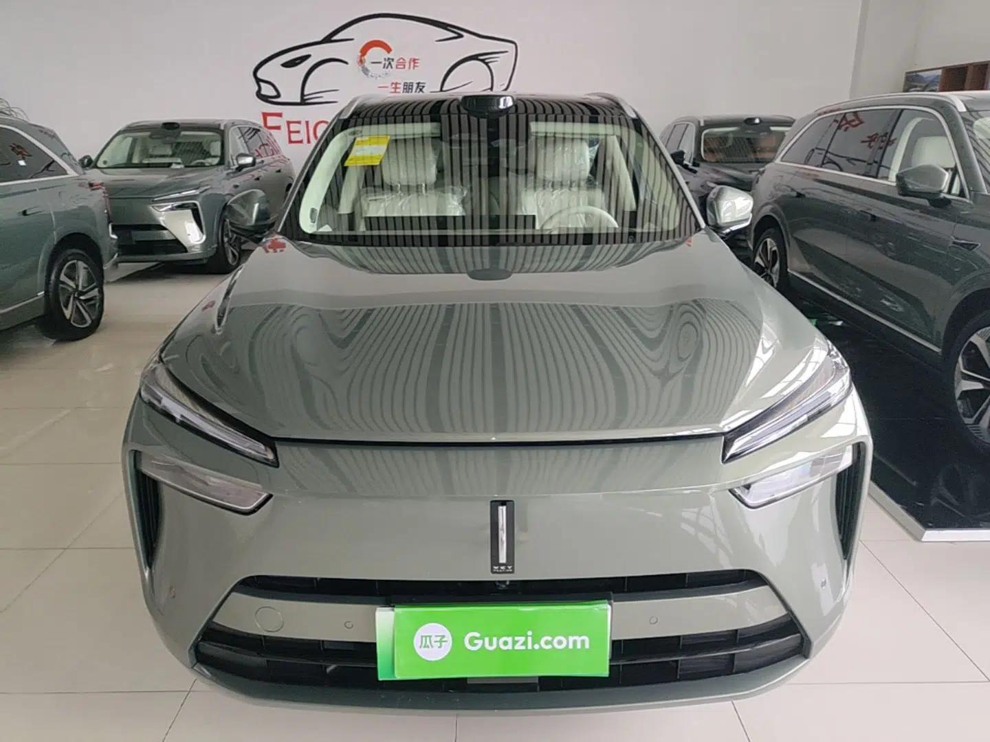 Wey Lanshan 2025 Four-Wheel Drive Max — миниатюра 2