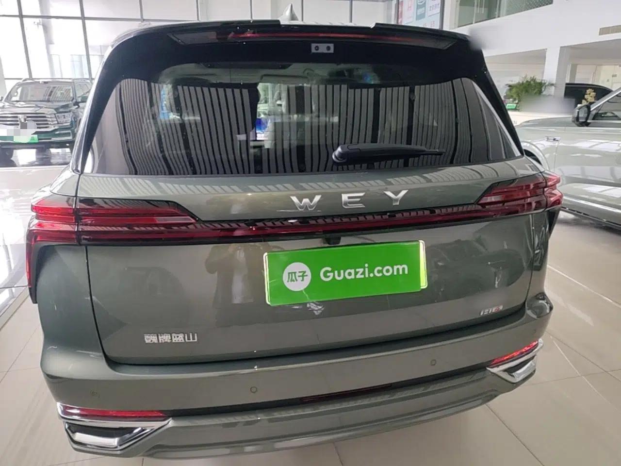 Wey Lanshan 2025 Four-Wheel Drive Max — миниатюра 5