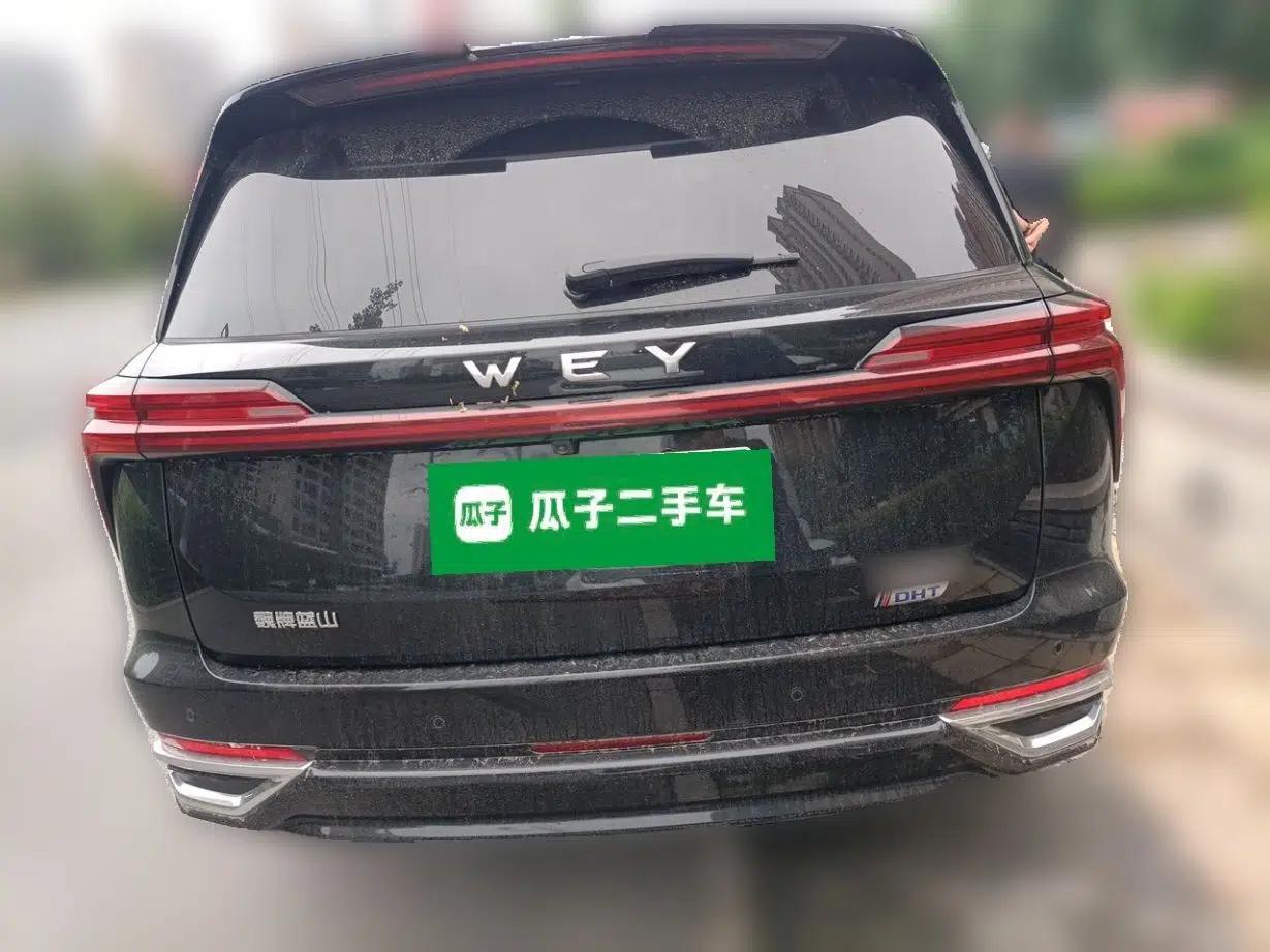 Wey Lanshan 2023 Four-Wheel Drive Ultra-Long Range Version — миниатюра 5