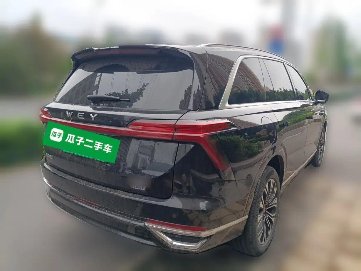 Wey Lanshan 2023 Four-Wheel Drive Ultra-Long Range Version — миниатюра 6