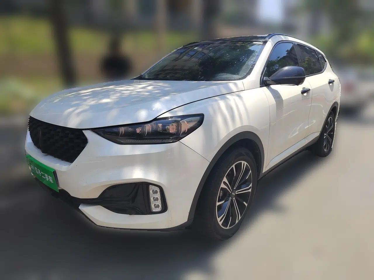Wey VV6 2021 2.0T Two-Wheel Drive Smart Protection+ — миниатюра 1