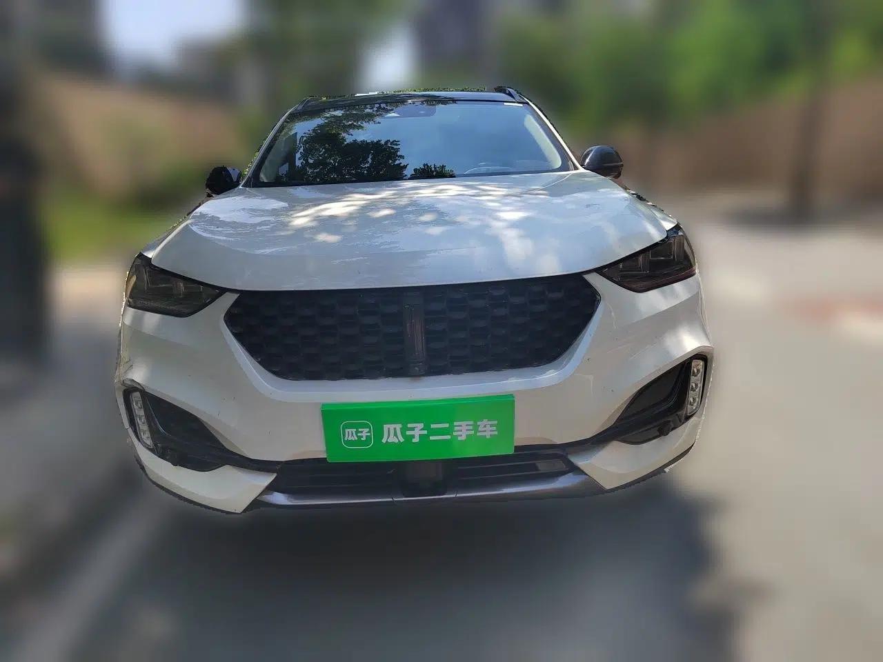 Wey VV6 2021 2.0T Two-Wheel Drive Smart Protection+ — миниатюра 2