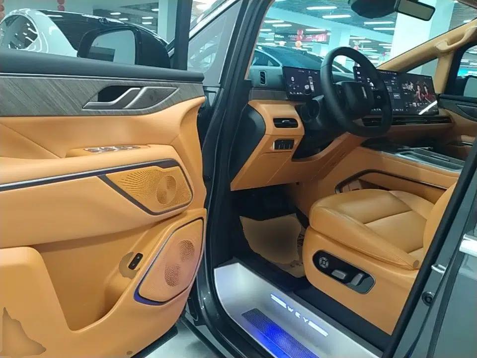 Wey Gaoshan 2025 Four-Wheel Drive Alpine 8 — миниатюра 19