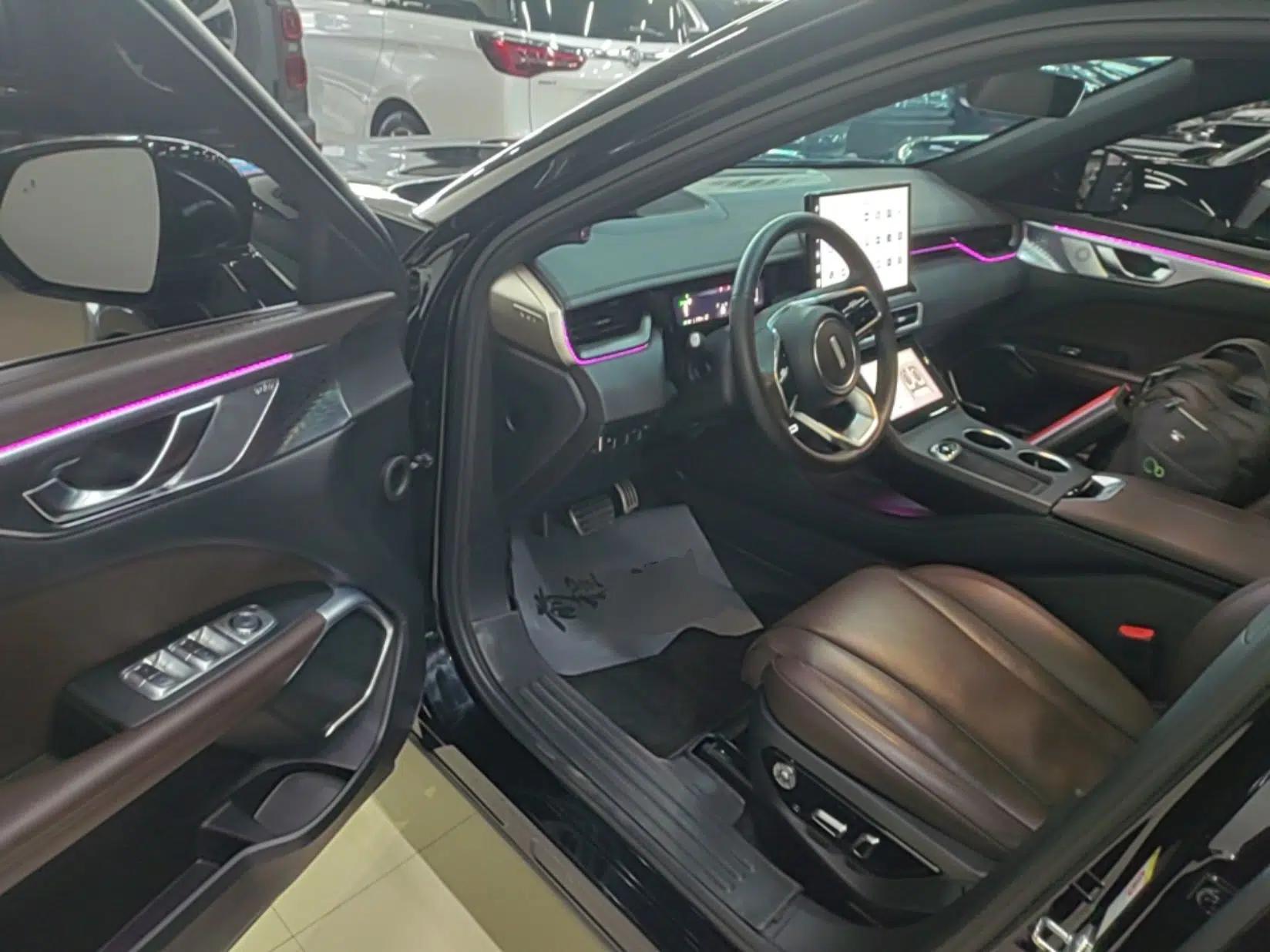 Wey Mocha New Energy 2023 Two-Wheel Drive Long-Range Version — миниатюра 19