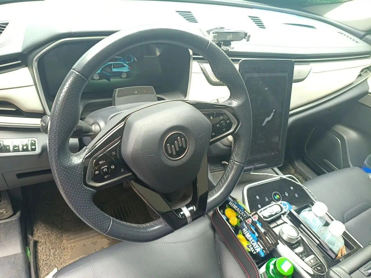 WM Motor EX5 2020 EX5-Z Pro Performance Edition — миниатюра 11