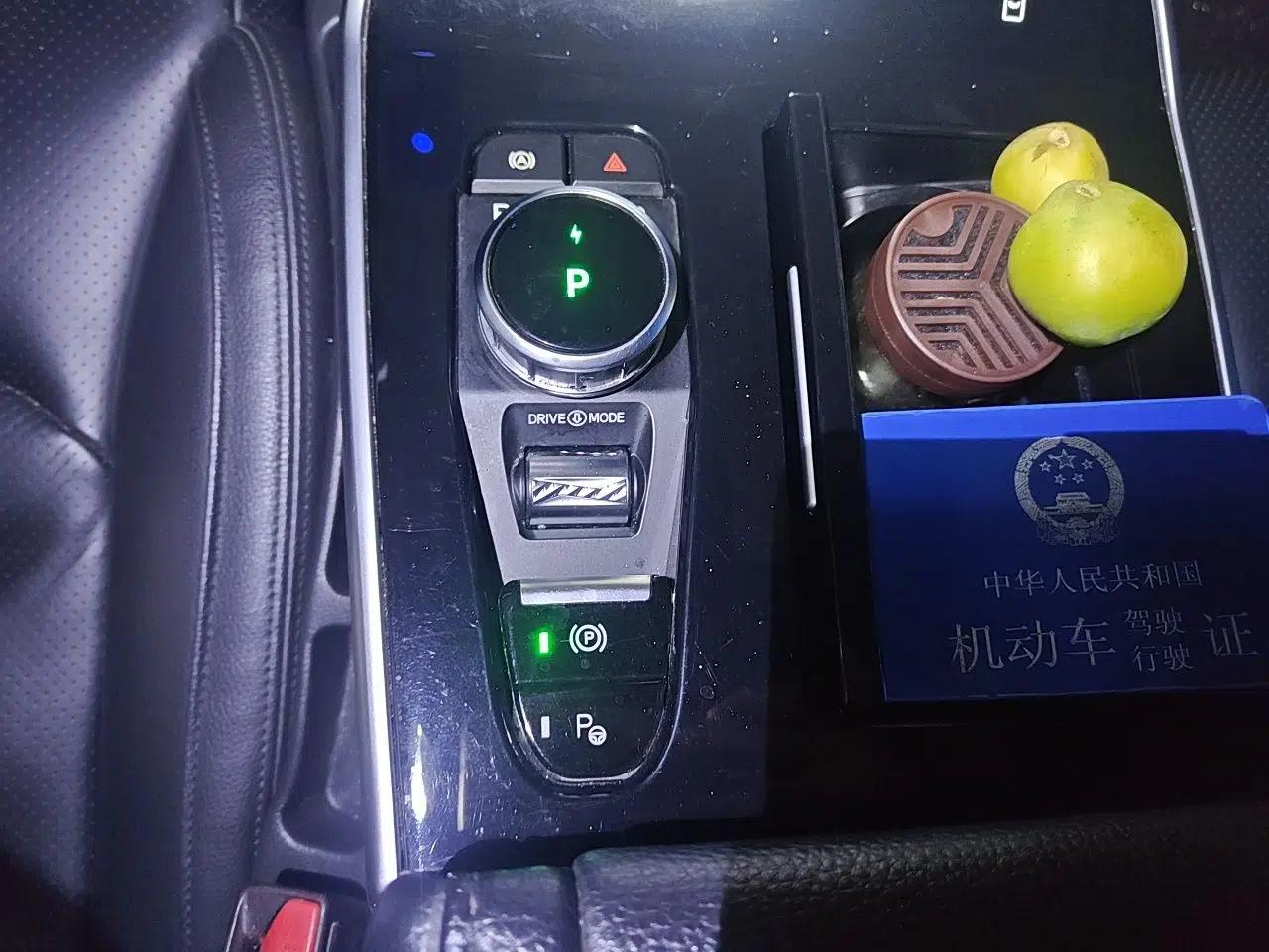 WM Motor EX6 2020 Plus 6-Seater Nex Exploration Edition — миниатюра 15