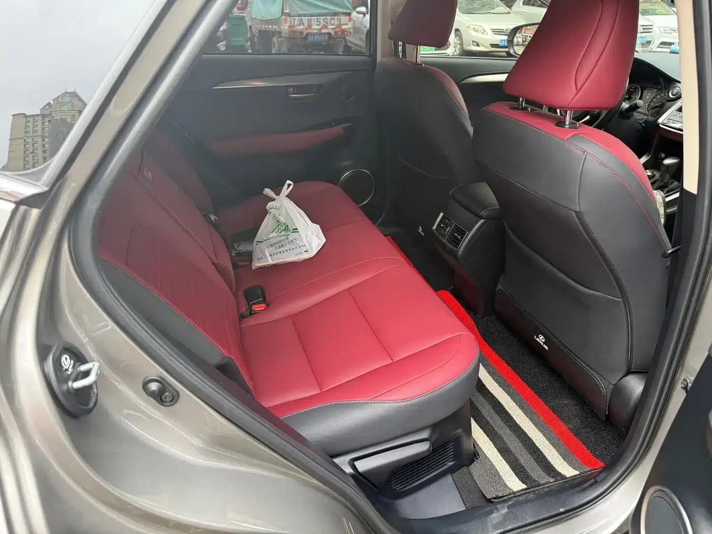 Lexus NX 2020 200 AWD Sport Edition (China VI Emission Standard) — миниатюра 13