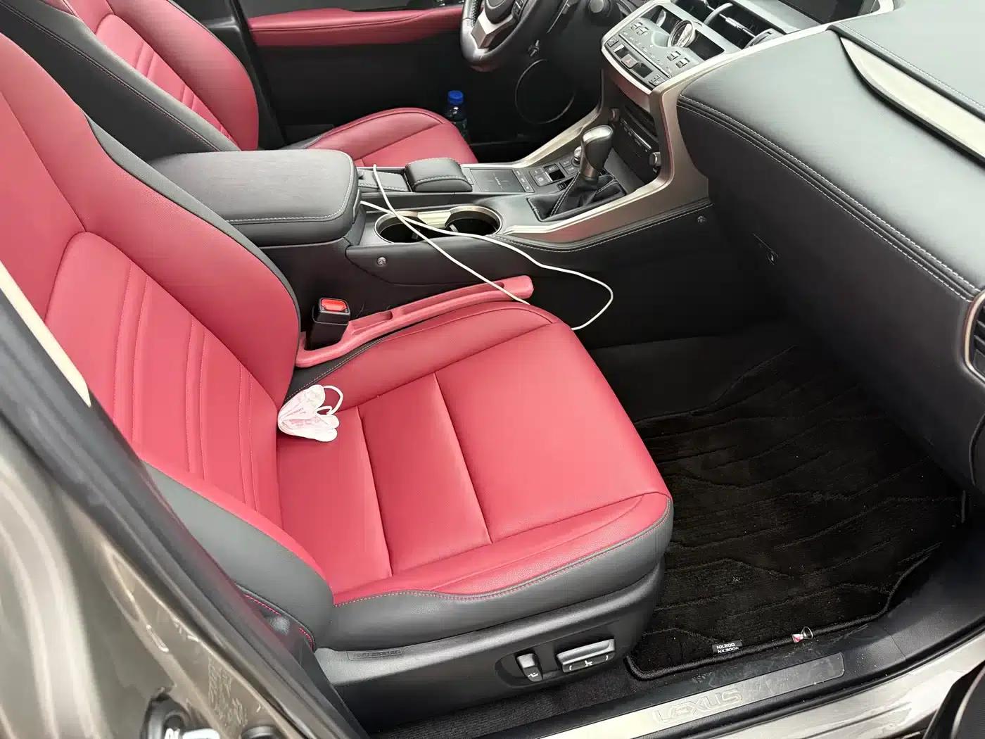 Lexus NX 2020 200 AWD Sport Edition (China VI Emission Standard) — миниатюра 14