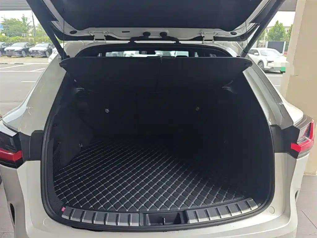 Lexus NX 2024 350h Front-Wheel Drive Elite Edition — миниатюра 19
