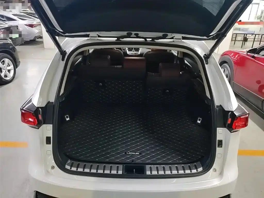 Lexus NX 2020 200 FWD Avant Edition (China VI Emission Standard) — миниатюра 19