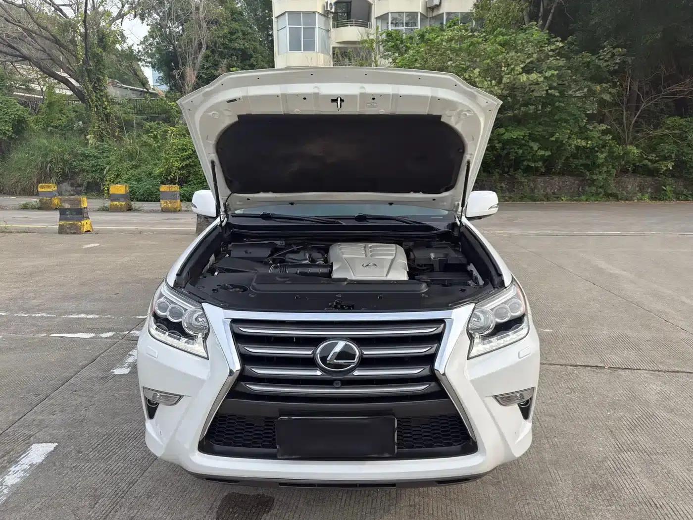 Lexus GX 2014 400 Premium Edition — миниатюра 16
