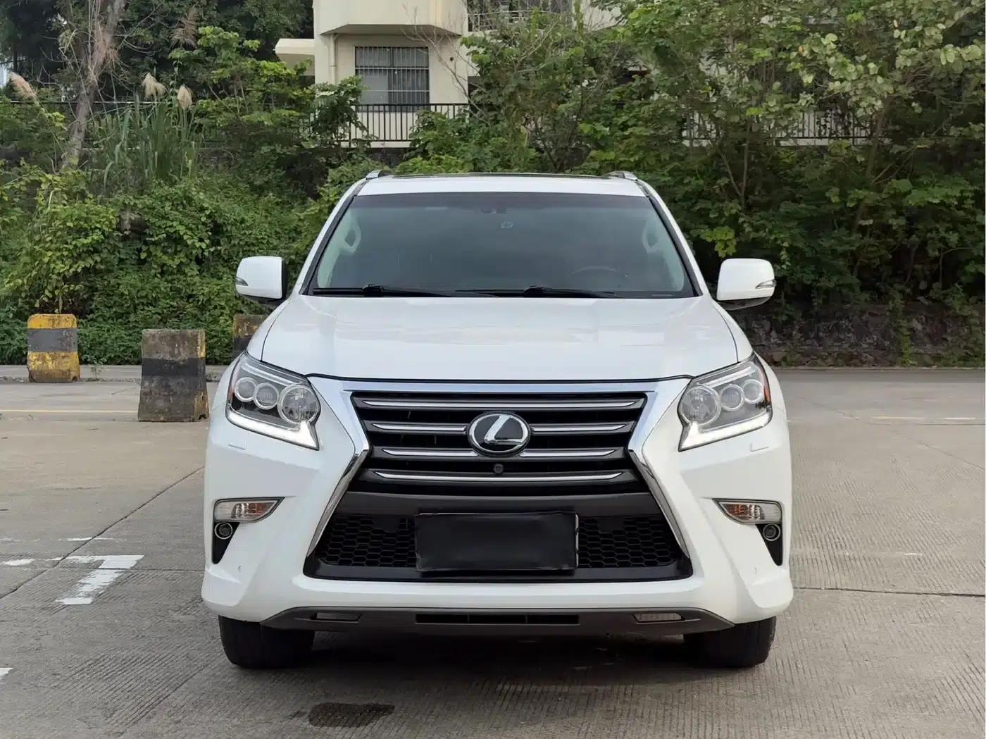 Lexus GX 2014 400 Premium Edition — миниатюра 18