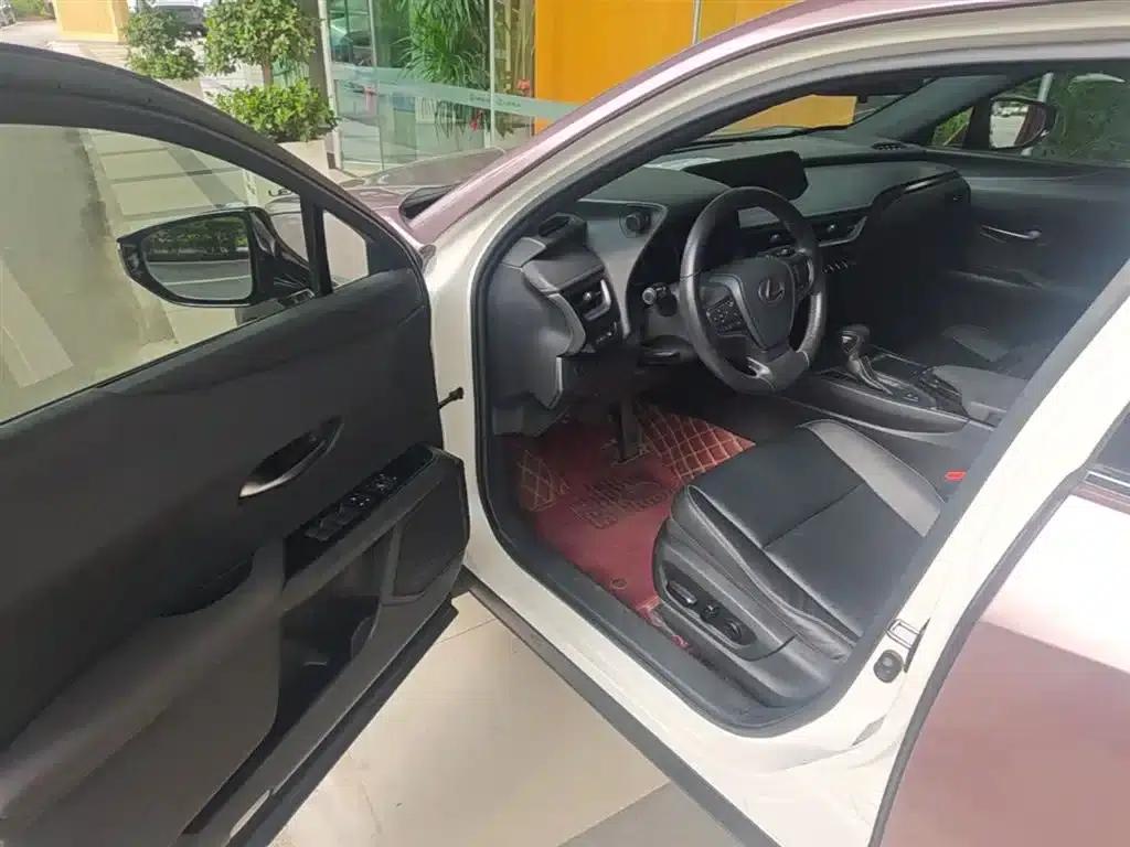 Lexus UX 2019 260h Explore Edition (China VI Emission Standard) — миниатюра 16
