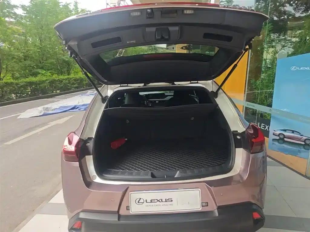 Lexus UX 2019 260h Explore Edition (China VI Emission Standard) — миниатюра 19