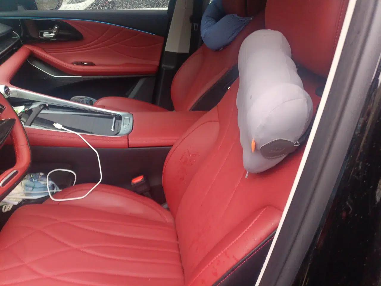 EXEED Stellar 2023 400T Four-Wheel Drive Enjoying the Flying Fish Edition — миниатюра 16