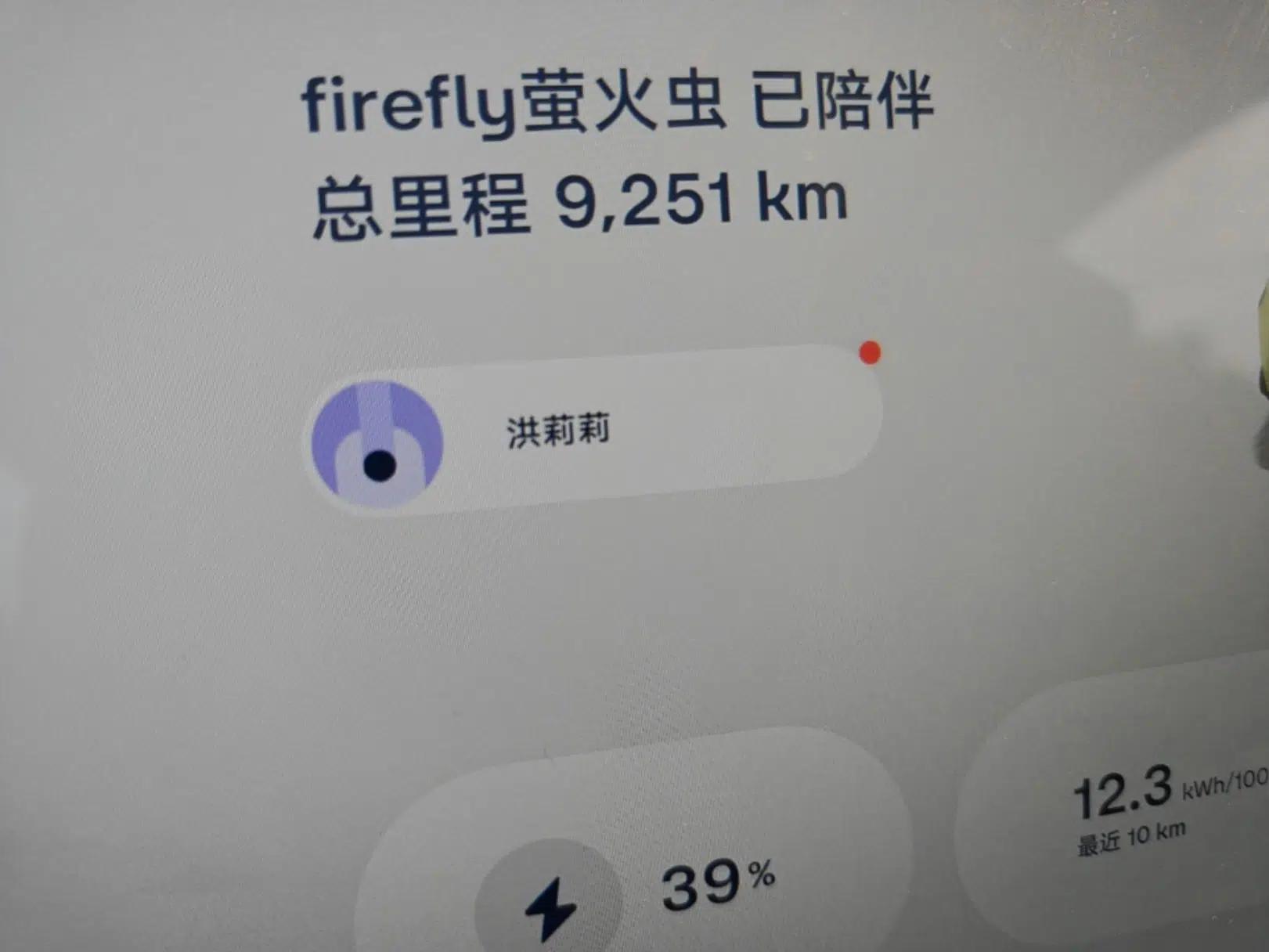 firefly 2025 Free Edition — миниатюра 15