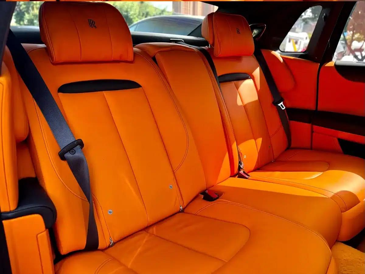2021 Ghost 6.7T Standard Wheelbase — миниатюра 5
